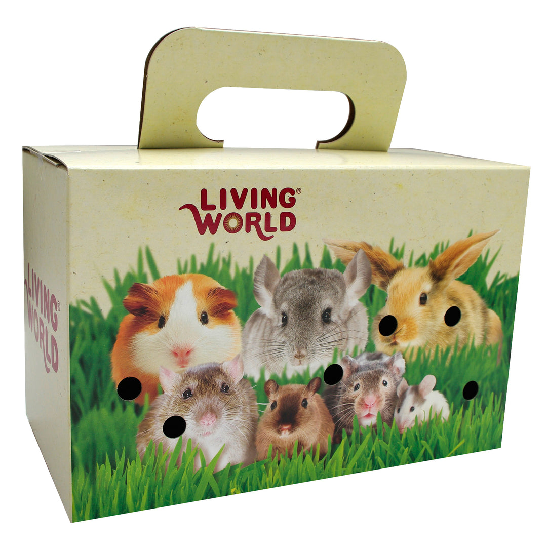 LW Boîte de Transport en Carton L pour Oiseaux