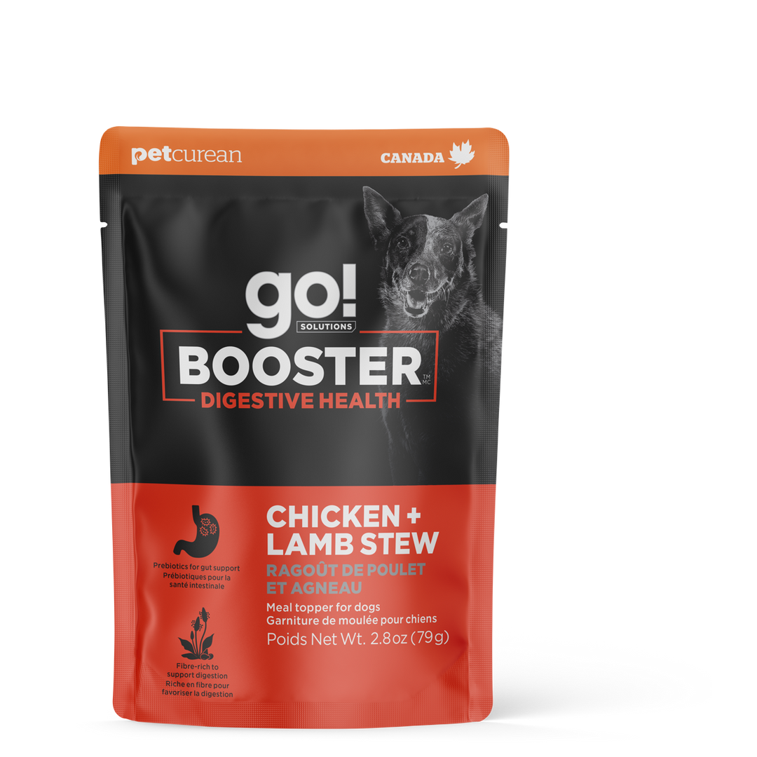 GO! BOOSTER Chien Digestive, Ragoût Poulet & Agneau 79g