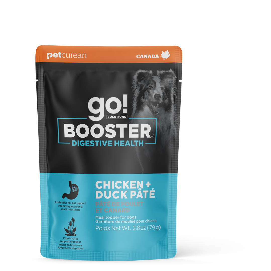 GO! BOOSTER Chien Digestive, Pâté Poulet & Canard 79g