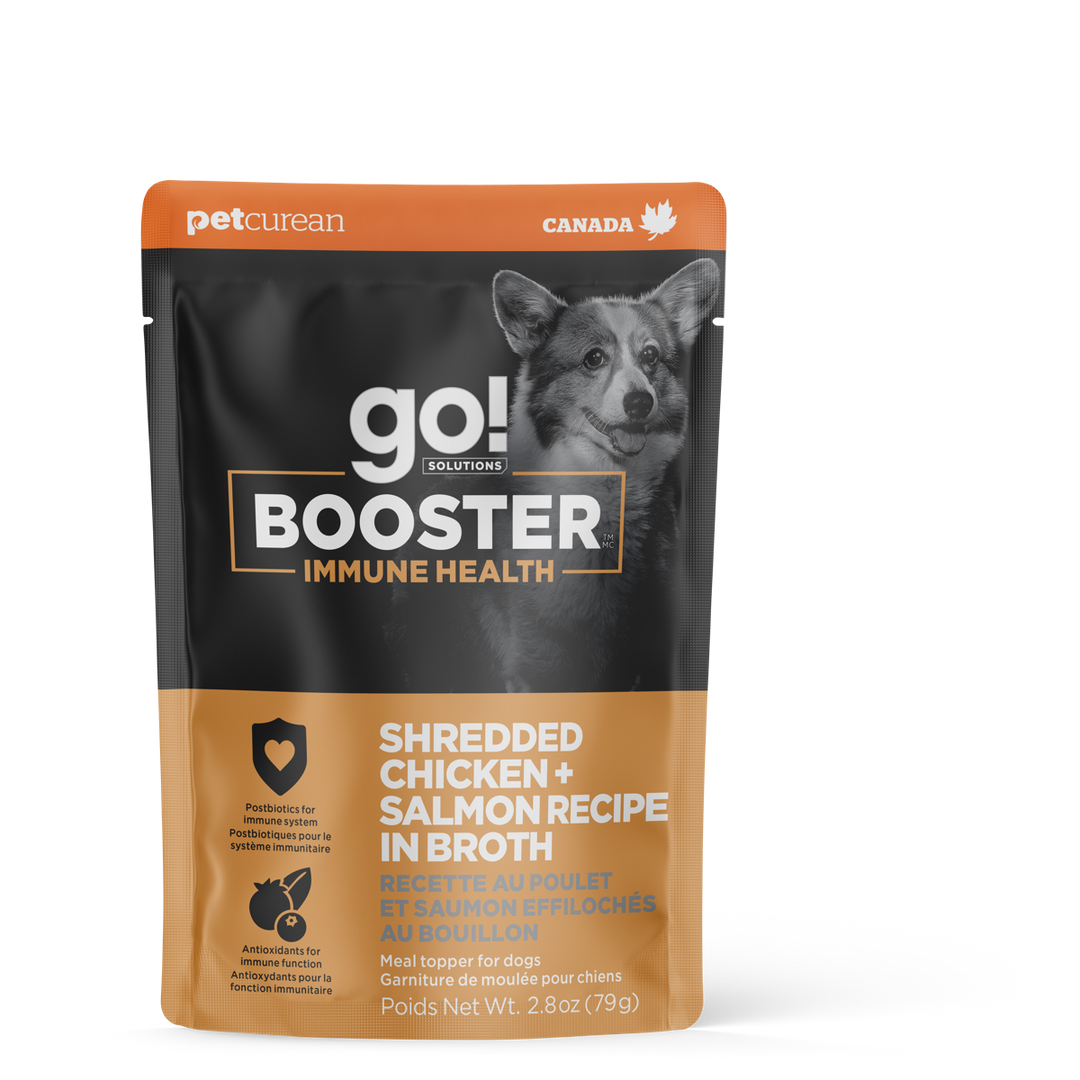 GO! BOOSTER Chien Immunitaire, Poulet & Saumon Bouillon 79g