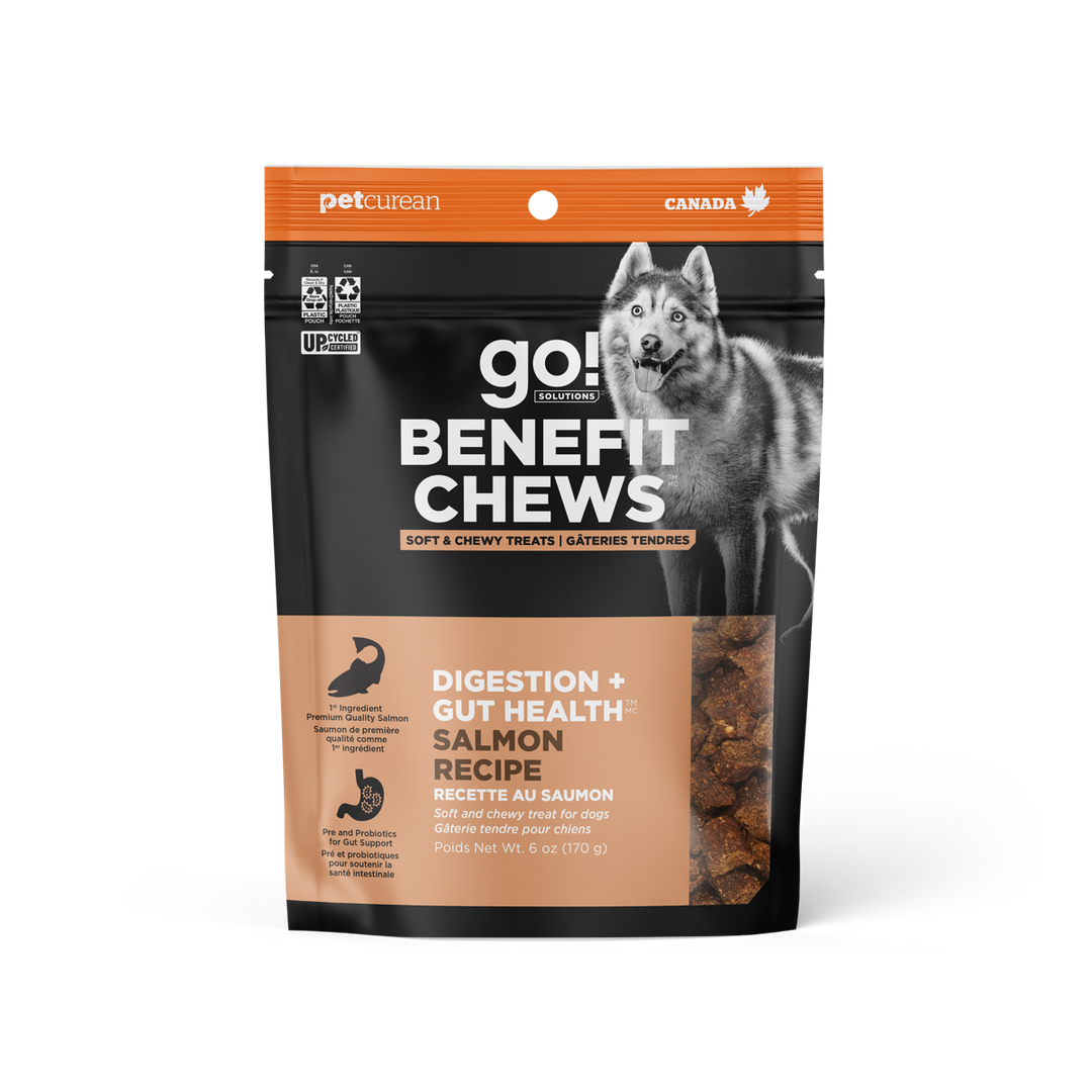 GO! Gâteries Chien Digestion & Santé Intestinale, Saumon 170g