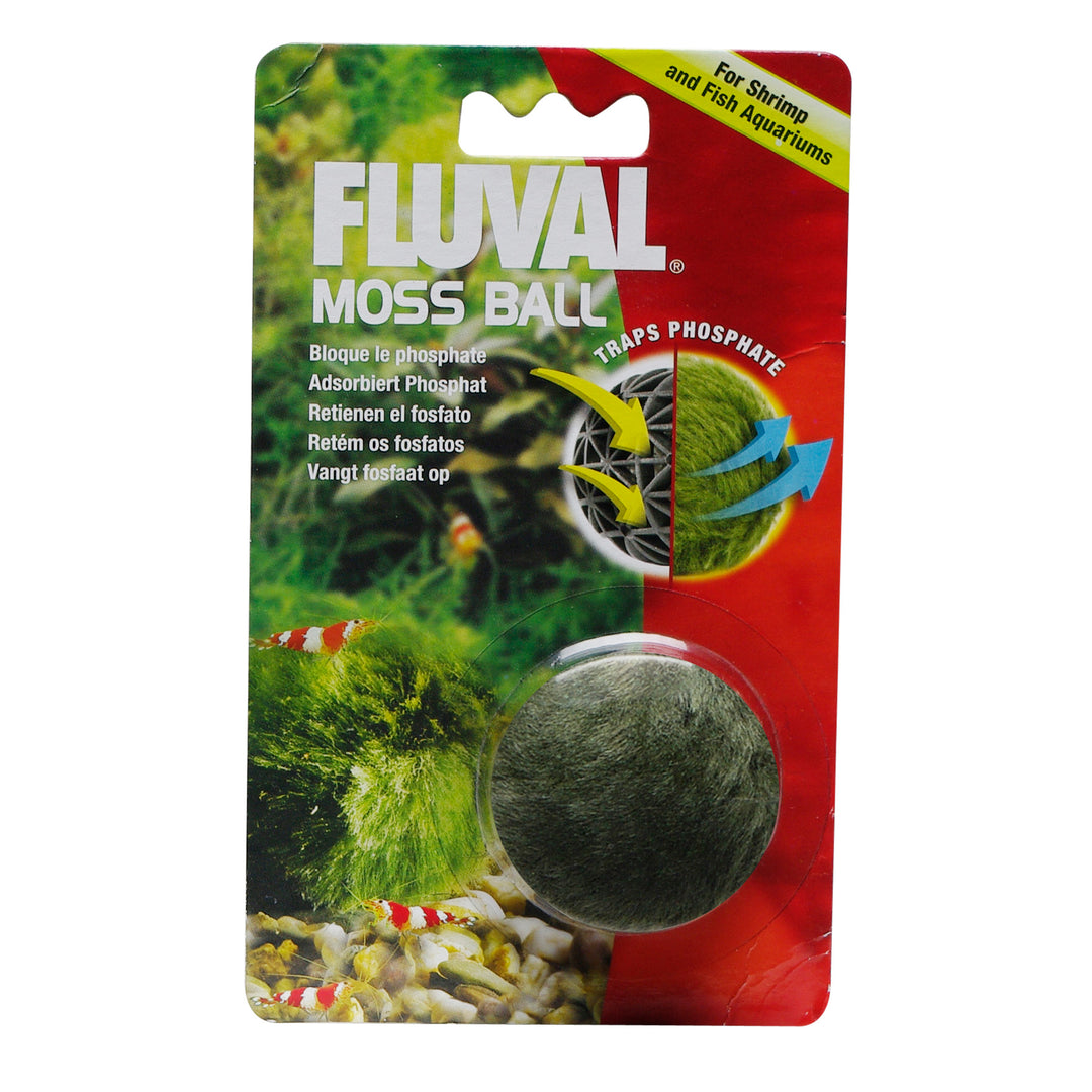 FLUVAL Balle de Mousse 1.75" pour Aquarium
