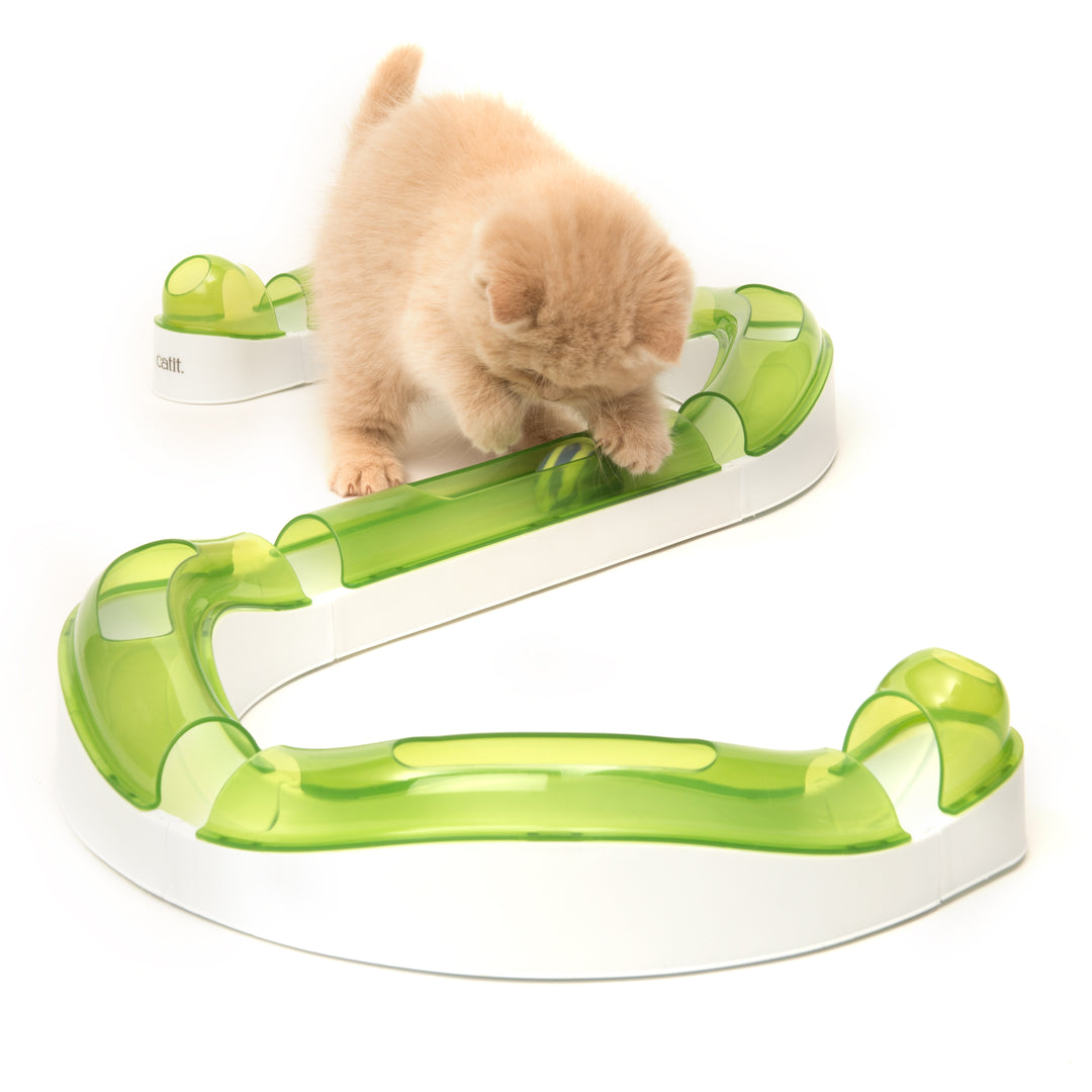 CATIT SENSES 2.0 Jouet Chat Circuit Surélevé