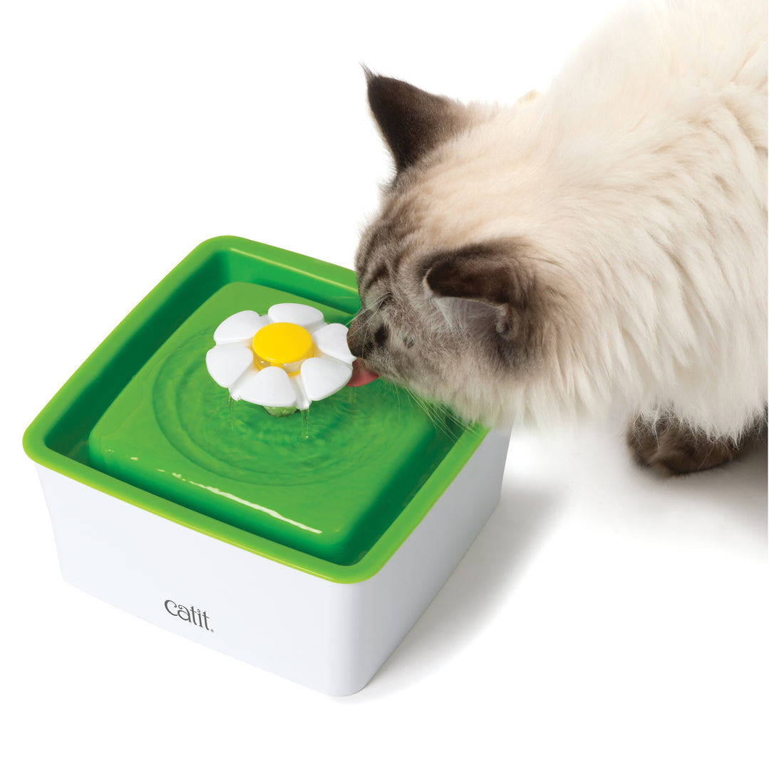 CATIT Mini Abreuvoir Fleur 1.5L