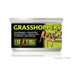 Voir l’image dans la galerie, EXO TERRA Nourriture Conserve Sauterelles 34g pour Reptiles
