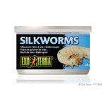 Voir l’image dans la galerie, EXO TERRA Nourriture Conserve Vers à Soie 34g XL pour Reptiles
