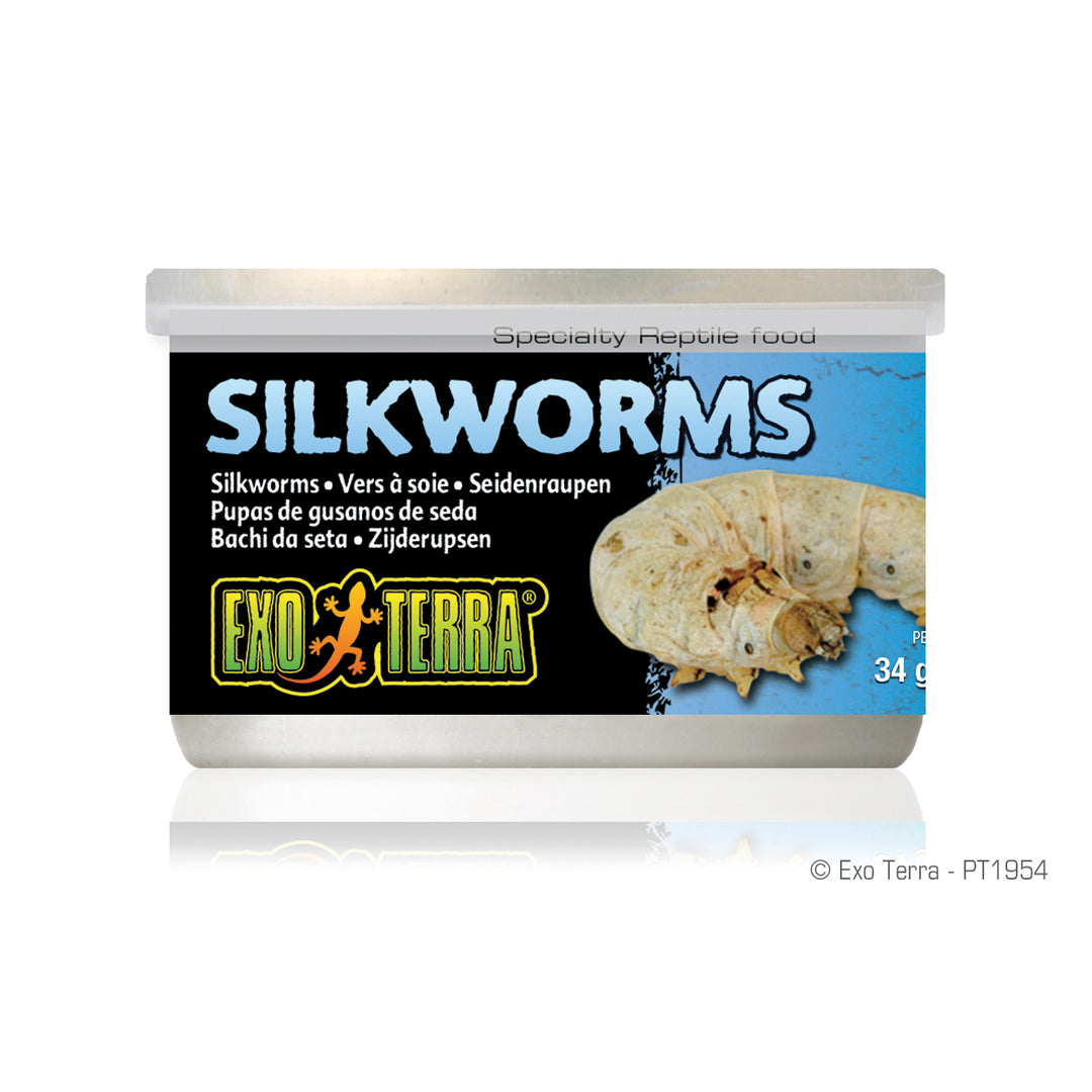 EXO TERRA Nourriture Conserve Vers à Soie 34g XL pour Reptiles