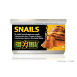 Voir l’image dans la galerie, EXO TERRA Nourriture Conserve Escargots 48g pour Reptiles
