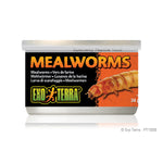 Voir l’image dans la galerie, EXO TERRA Nourriture Conserve Vers de Farine 34g pour Reptiles
