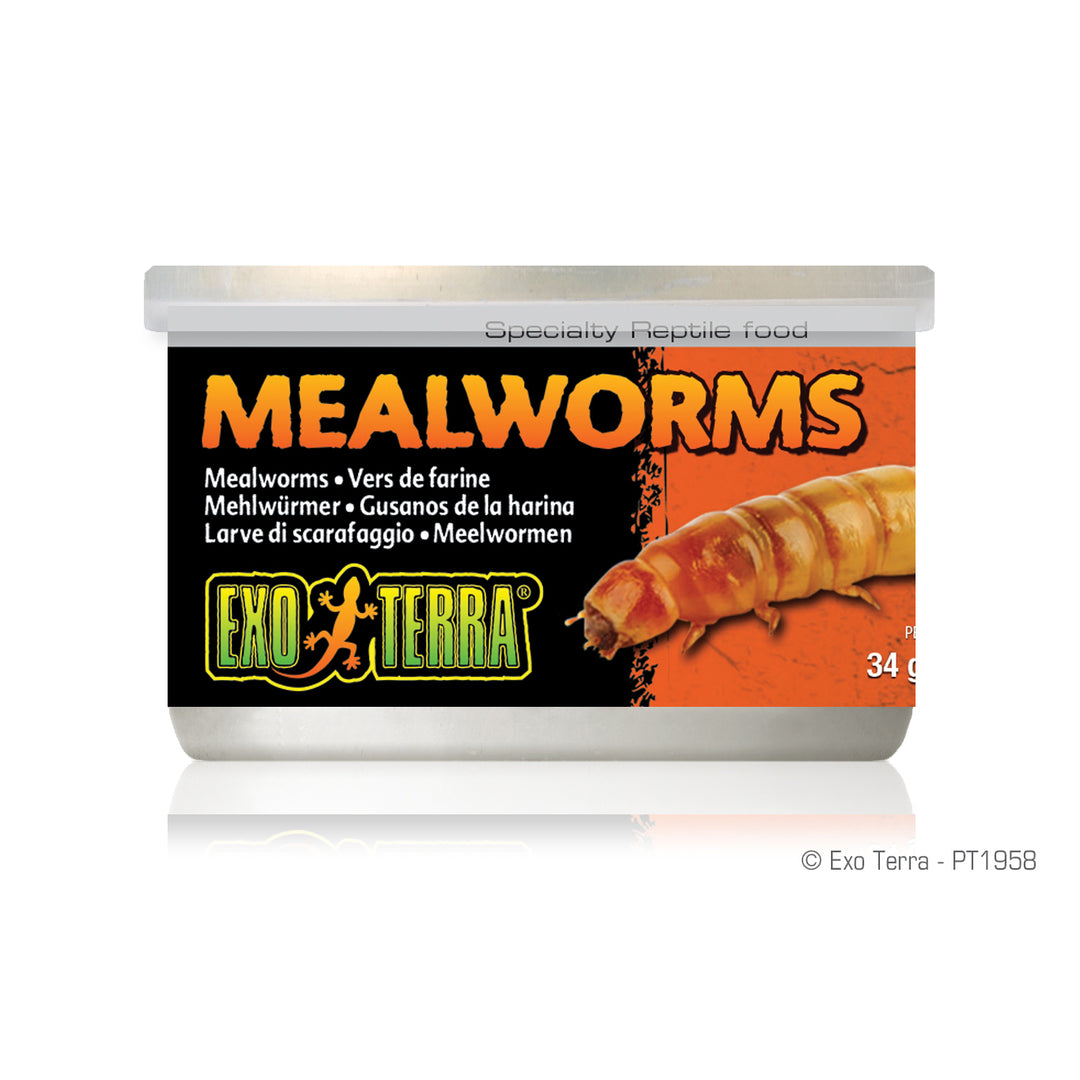 EXO TERRA Nourriture Conserve Vers de Farine 34g pour Reptiles