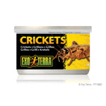 Voir l’image dans la galerie, EXO TERRA Nourriture Conserve Grillons 34g pour Reptiles
