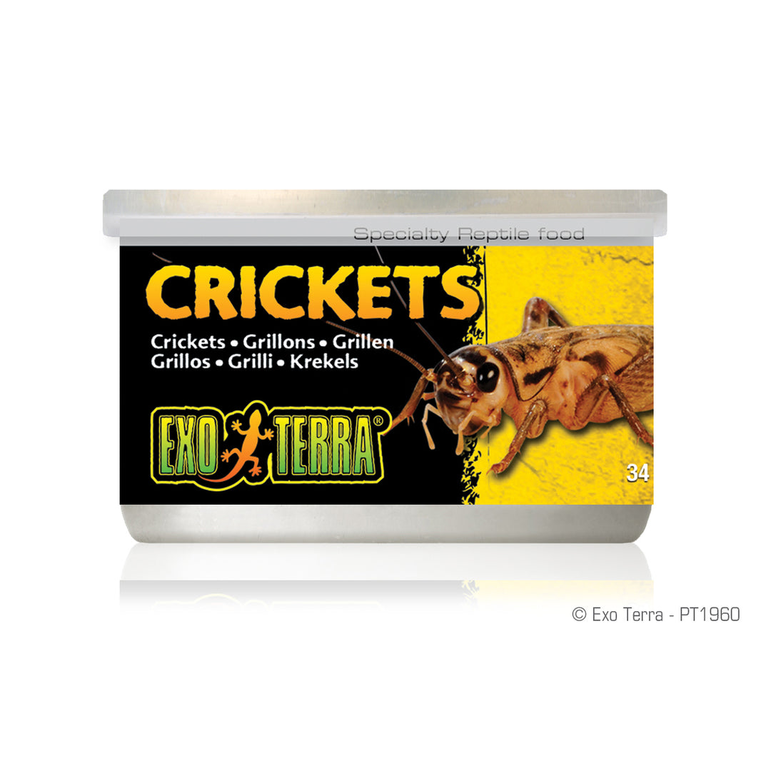 EXO TERRA Nourriture Conserve Grillons 34g pour Reptiles