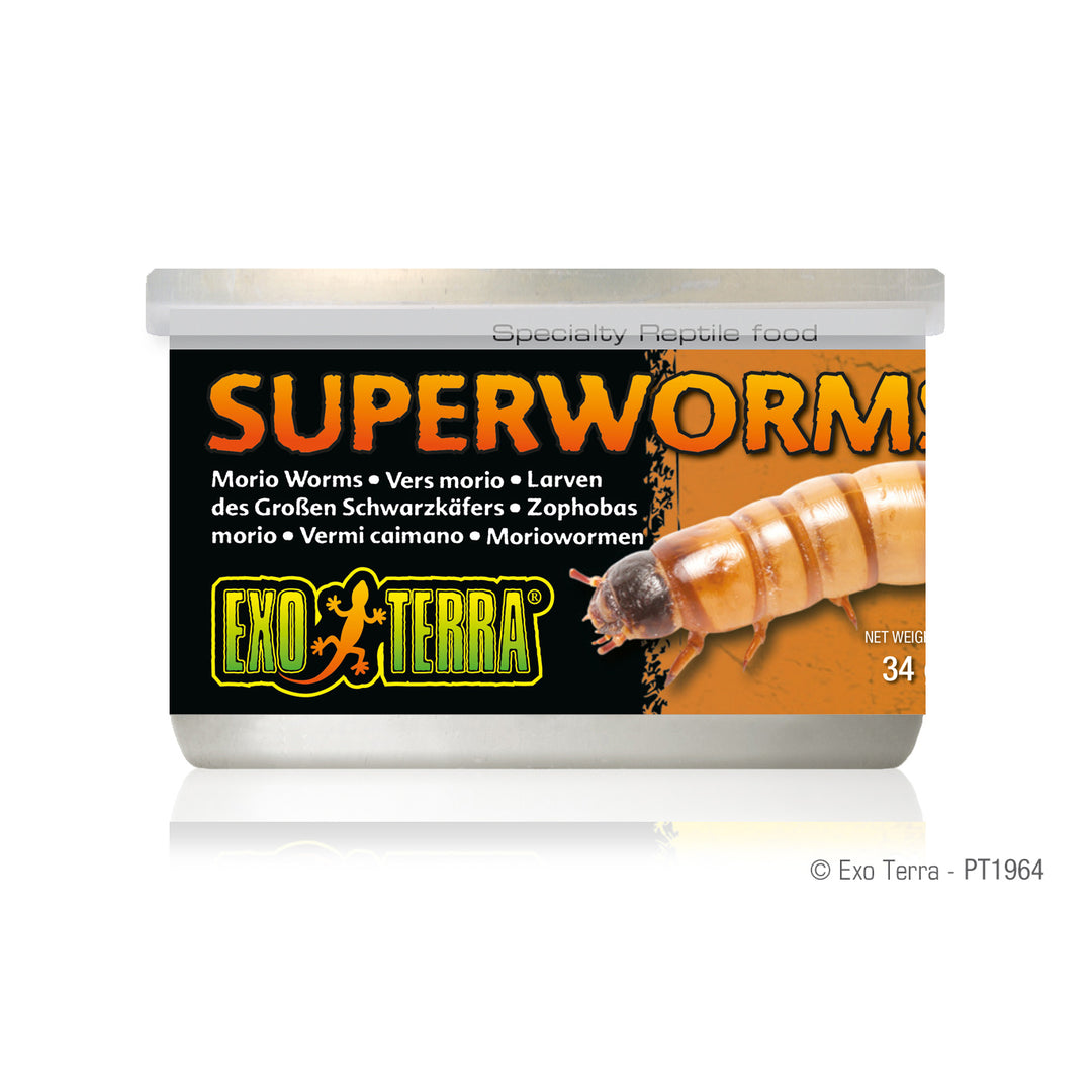 EXO TERRA Nourriture Conserve Vers de Farine 34g Géantes pour Reptiles
