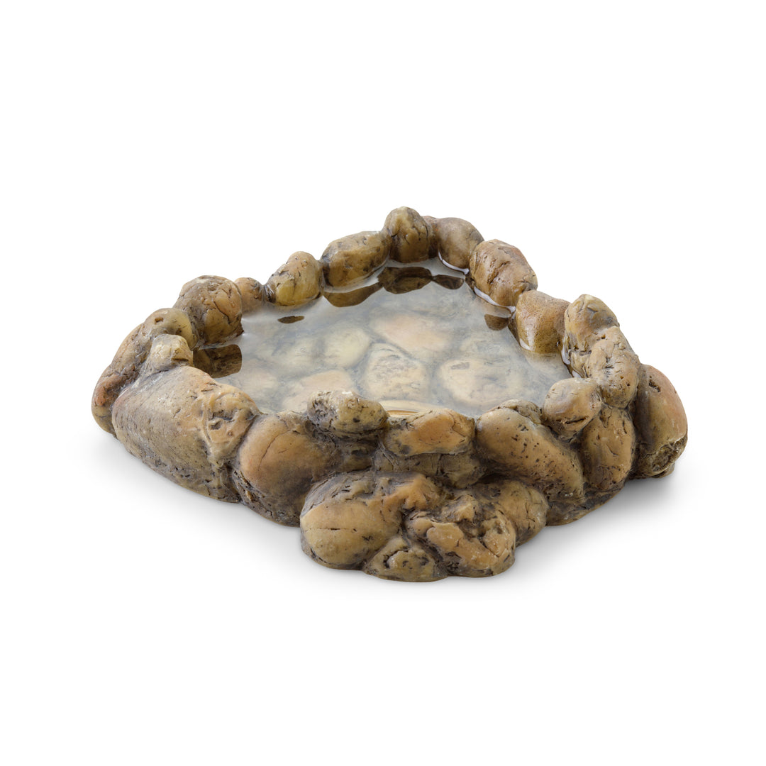 EXO TERRA Bol Coin à Eau M pour Reptiles