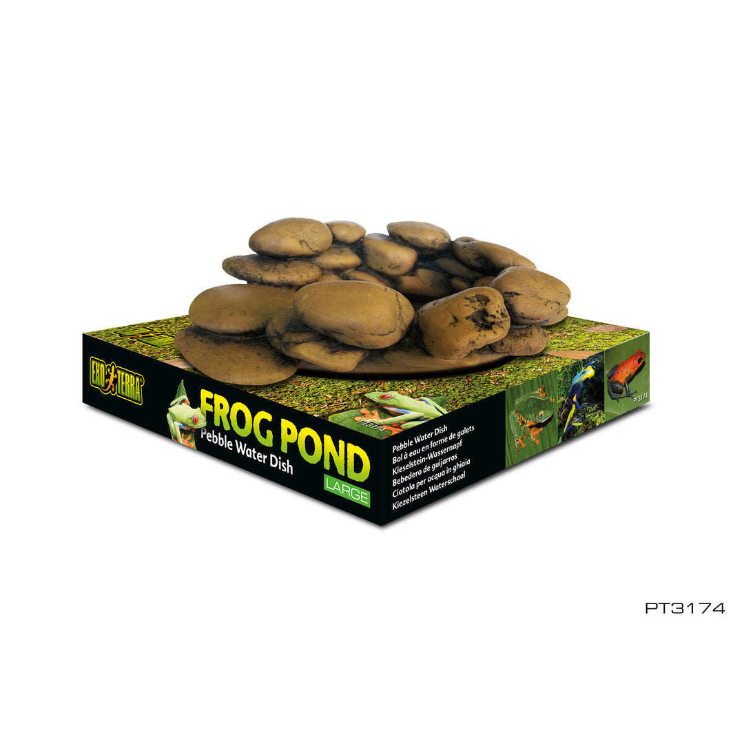 FROGS & CO Bol à Eau en Galets L pour Reptiles