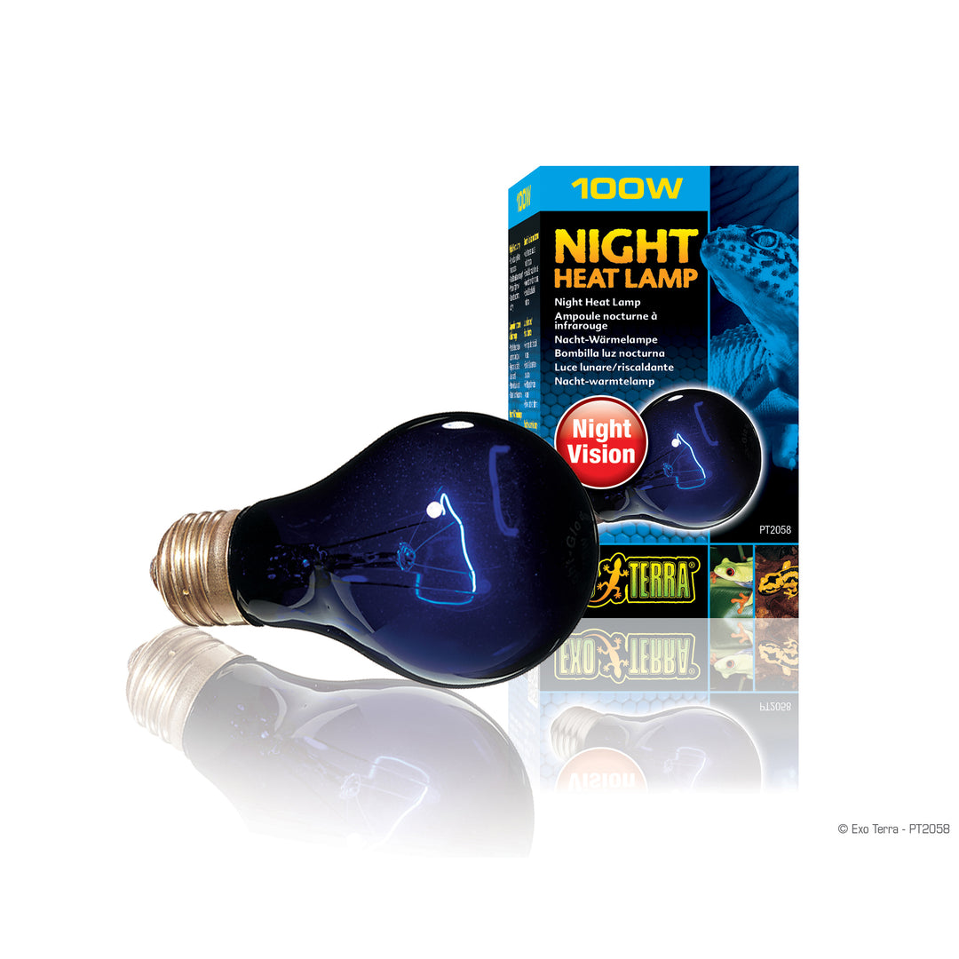 EXO TERRA Ampoule Nocturne 100W Infrarouge A19 pour Reptiles