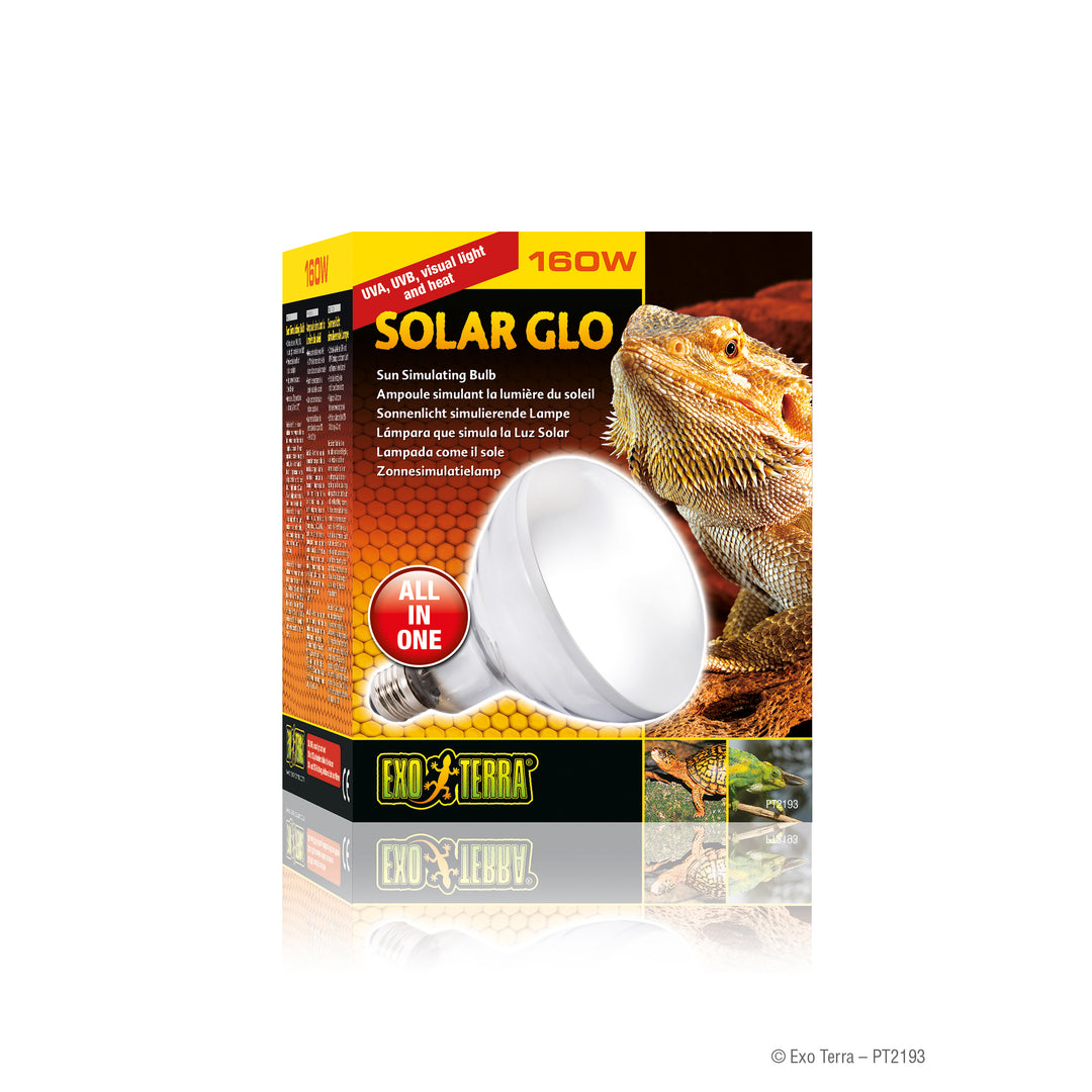EXO TERRA Ampoule 160W Solar Glow pour Reptiles