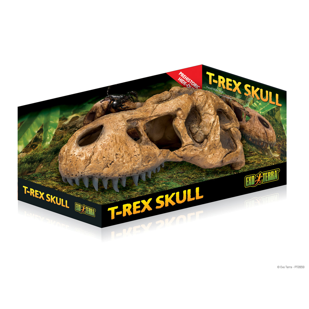 EXO TERRA Crâne de Tyrannosaure L pour Reptiles