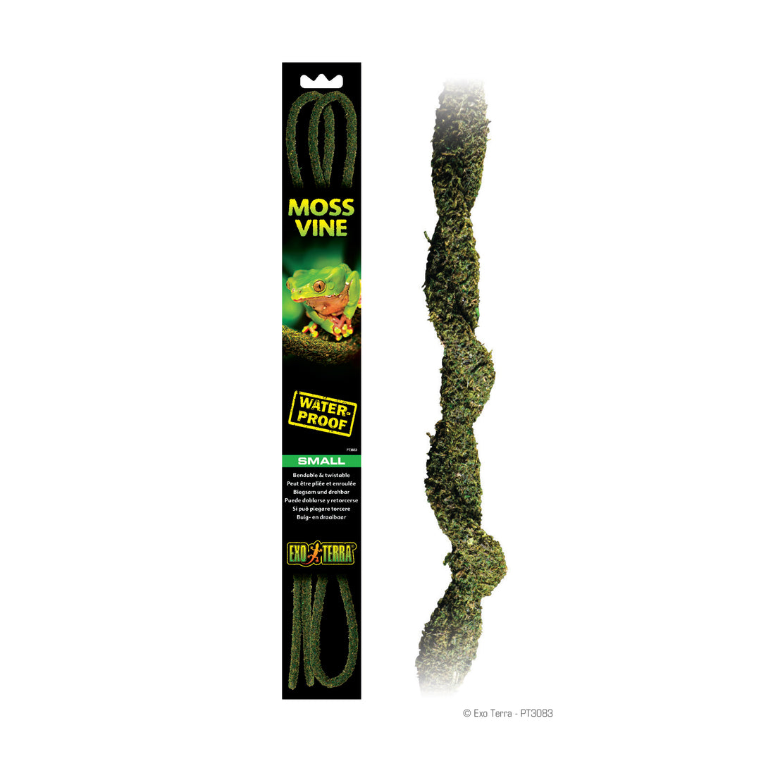 EXO TERRA Liane de Mousse 6' Mince pour Reptiles