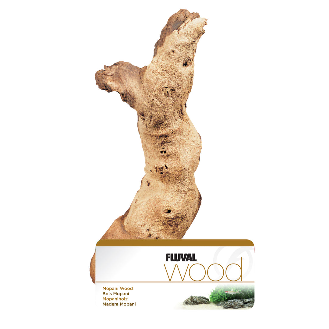 FLUVAL Bois de Grève Mopani L pour Aquarium