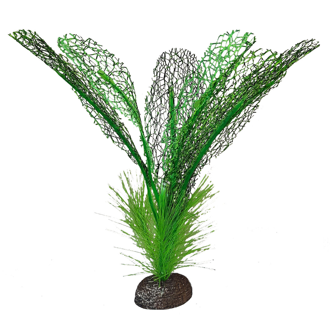 FLUVAL Betta Plante Dentelle de Madagascar 6"