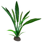 Voir l’image dans la galerie, FLUVAL Betta Plante Cryptocoryne de Wendt 8&quot;
