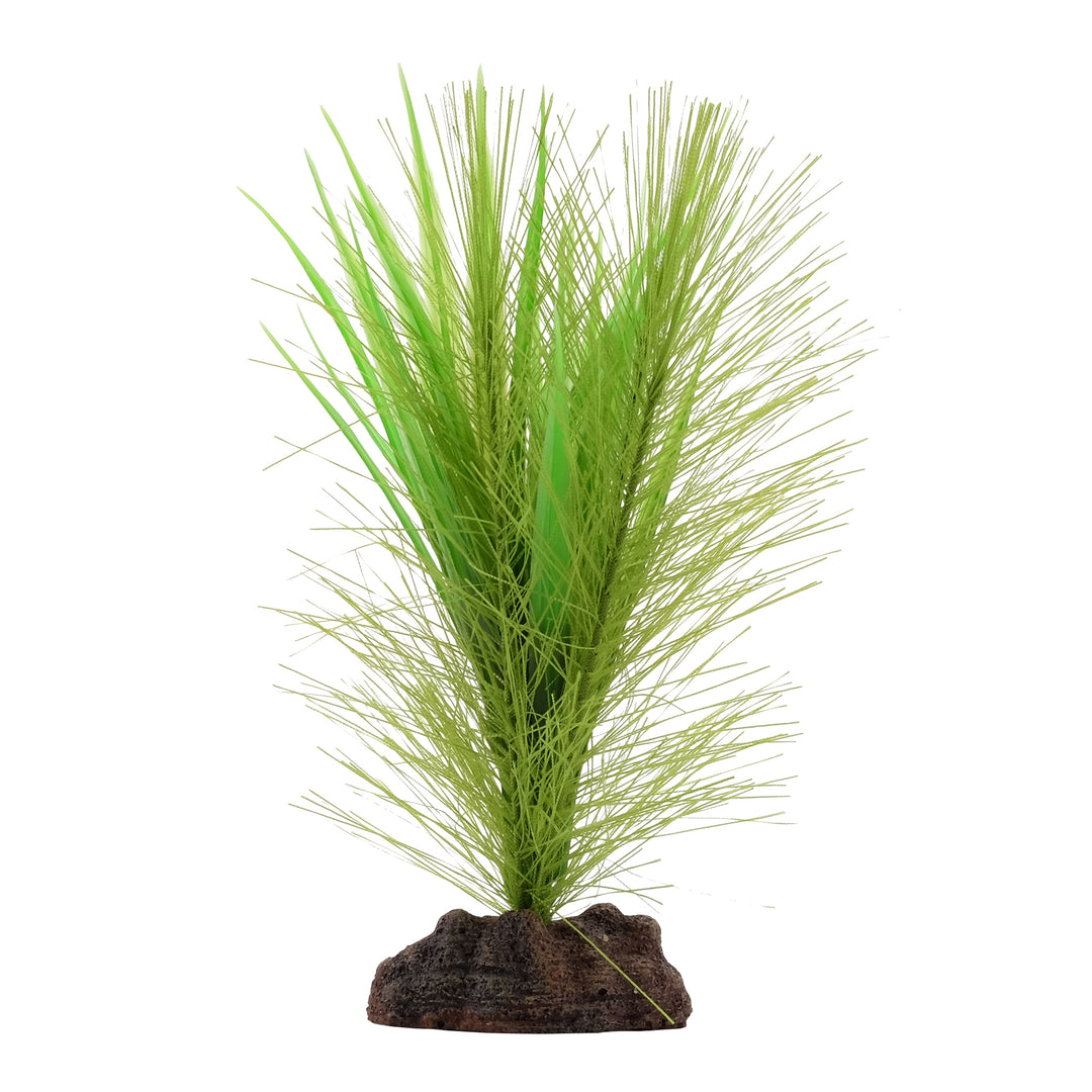FLUVAL Plante Myriophylle Brésilien Vert & Vallisnérie 5" pour Aquarium