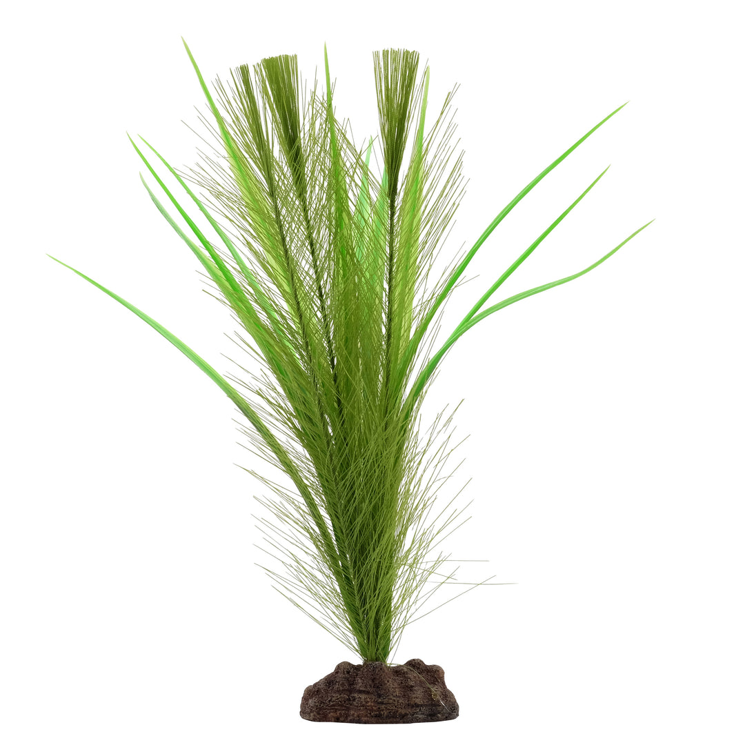 FLUVAL Plante Myriophylle Brésilien Vert & Vallisnérie 12" pour Aquarium