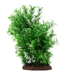 Voir l’image dans la galerie, FLUVAL Plante Petite Helxine 8&quot; pour Aquarium
