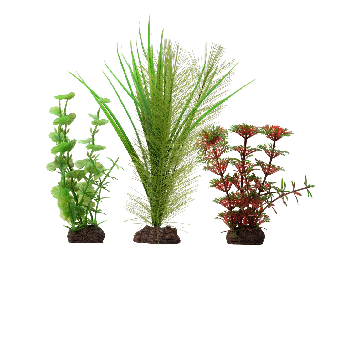 FLUVAL Plante Limnophila Rouge 4-8" x3 pour Aquarium