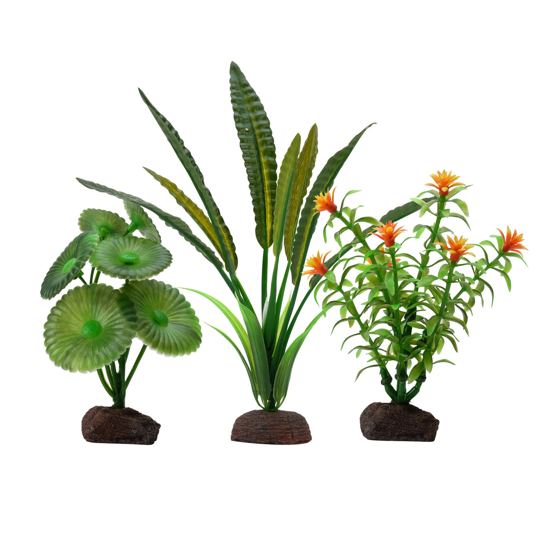 FLUVAL Plante Élodée 4-8" x3 pour Aquarium
