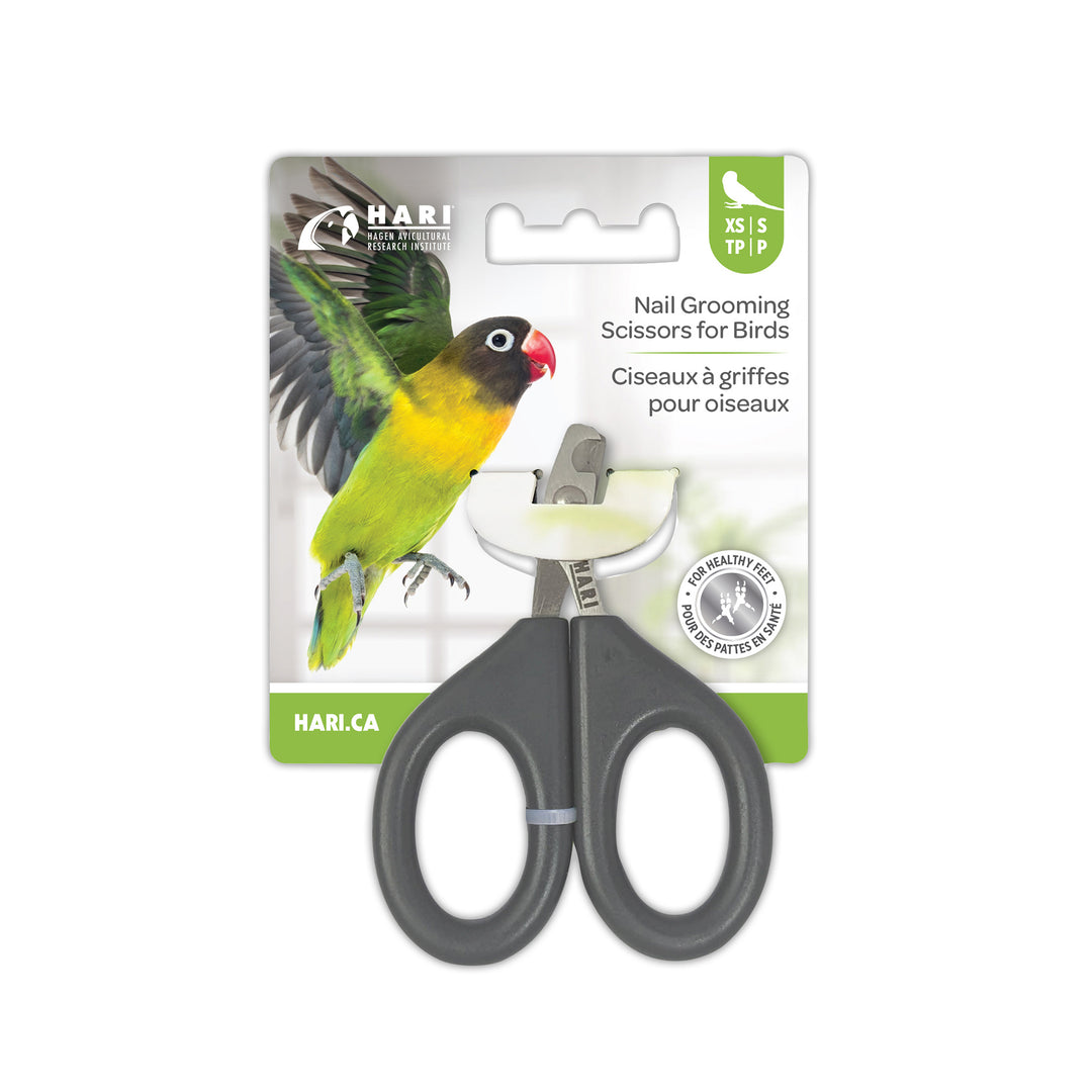 HARI Ciseaux à Griffes pour Oiseaux XS/S