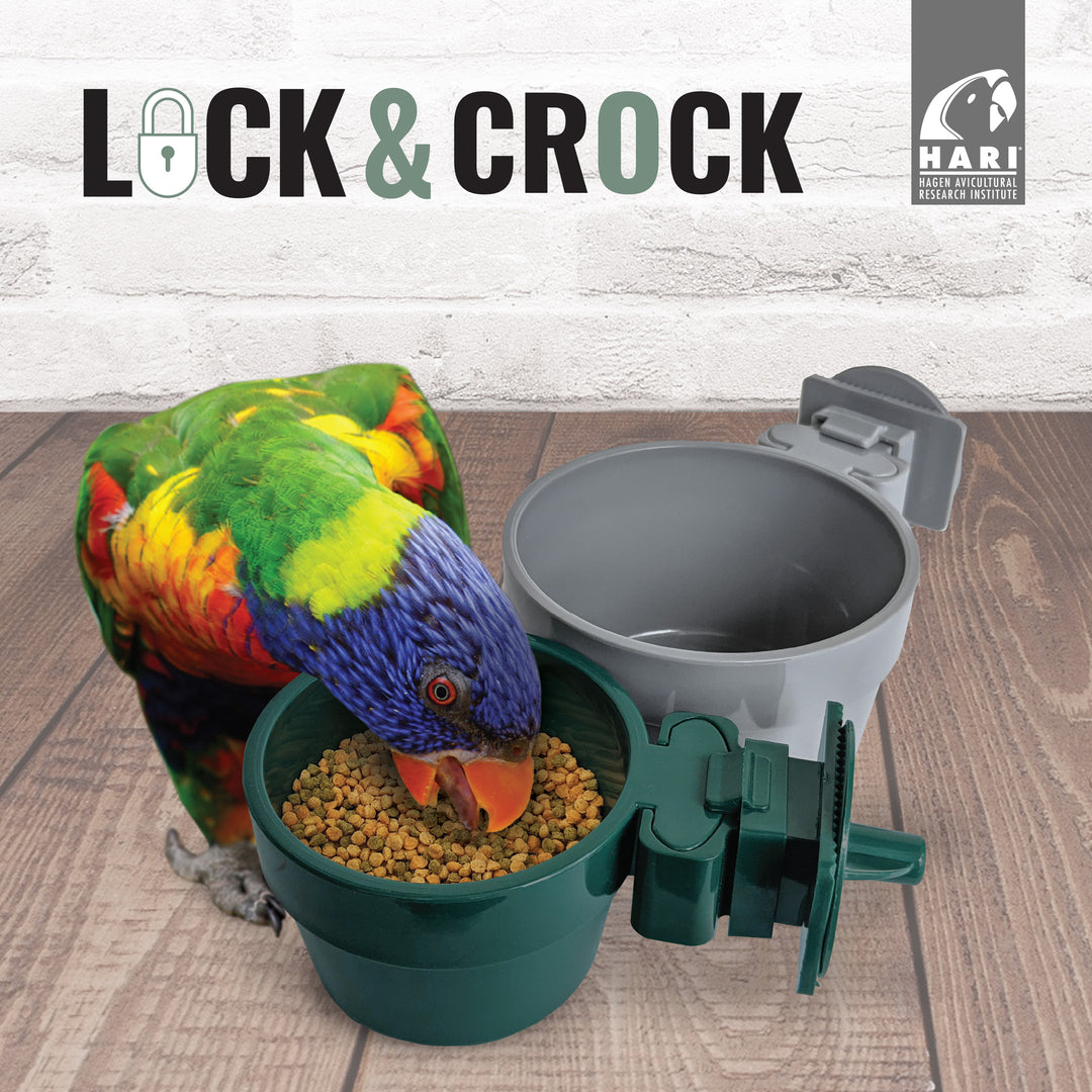 HARI Bol de Nourrissage Lock & Crock 591ml pour Oiseaux