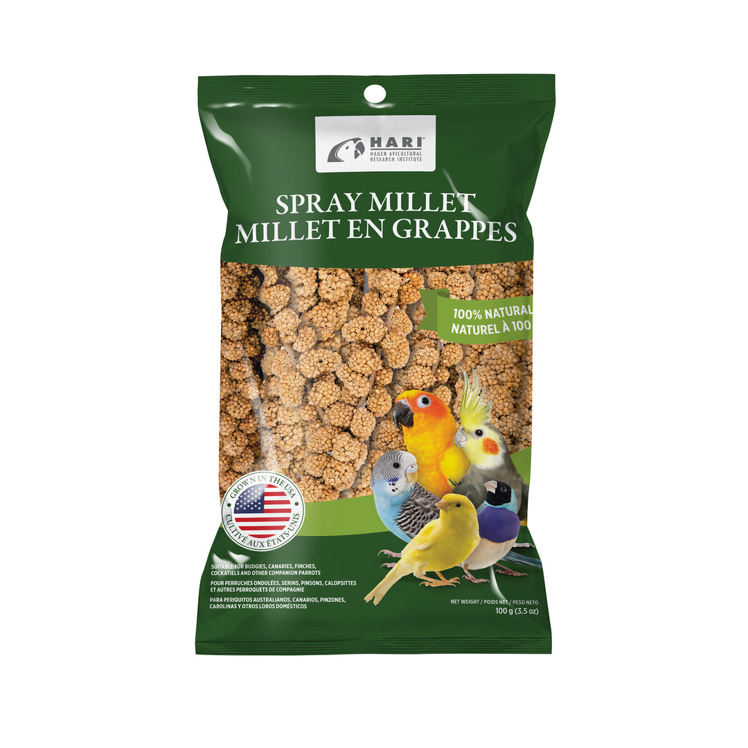 LW Gâteries Millet en Grappes, Sac de 100g pour Oiseaux