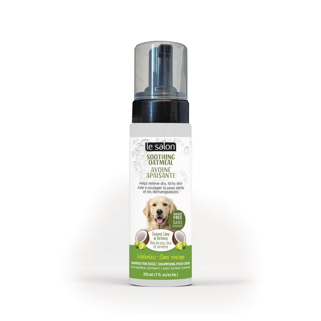 LE SALON Shampoing Sec Avoine Apaisante 210ml
