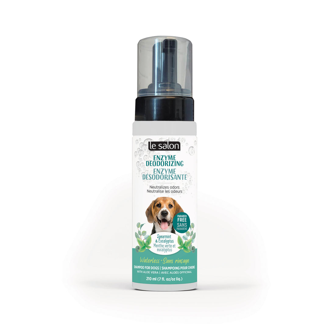 *LE SALON Shampoing Sec Enzyme Désodorisante 210ml