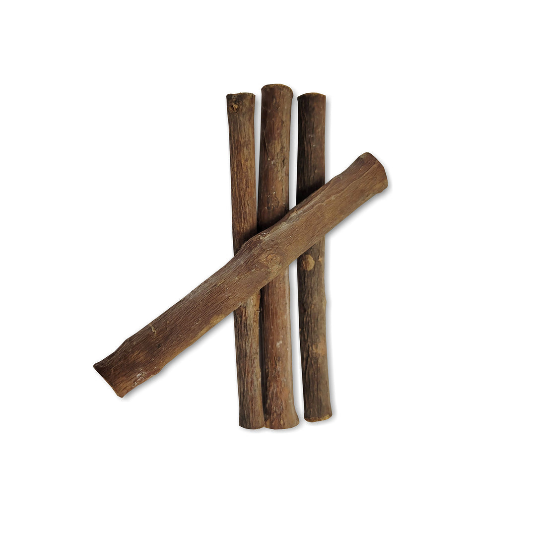 LW GREEN Gâteries Rongeur Bâtonnets Goyavier Petits Aninaux x10