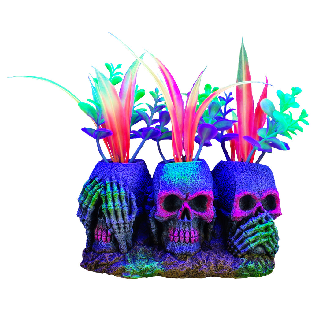 MARINA iGlo Crânes/Plantes 3" pour Aquarium