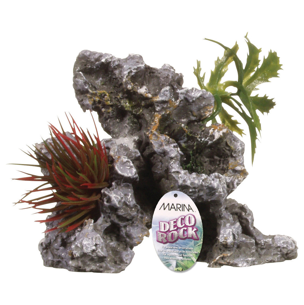 MARINA Rocheuse Décorative S pour Aquarium