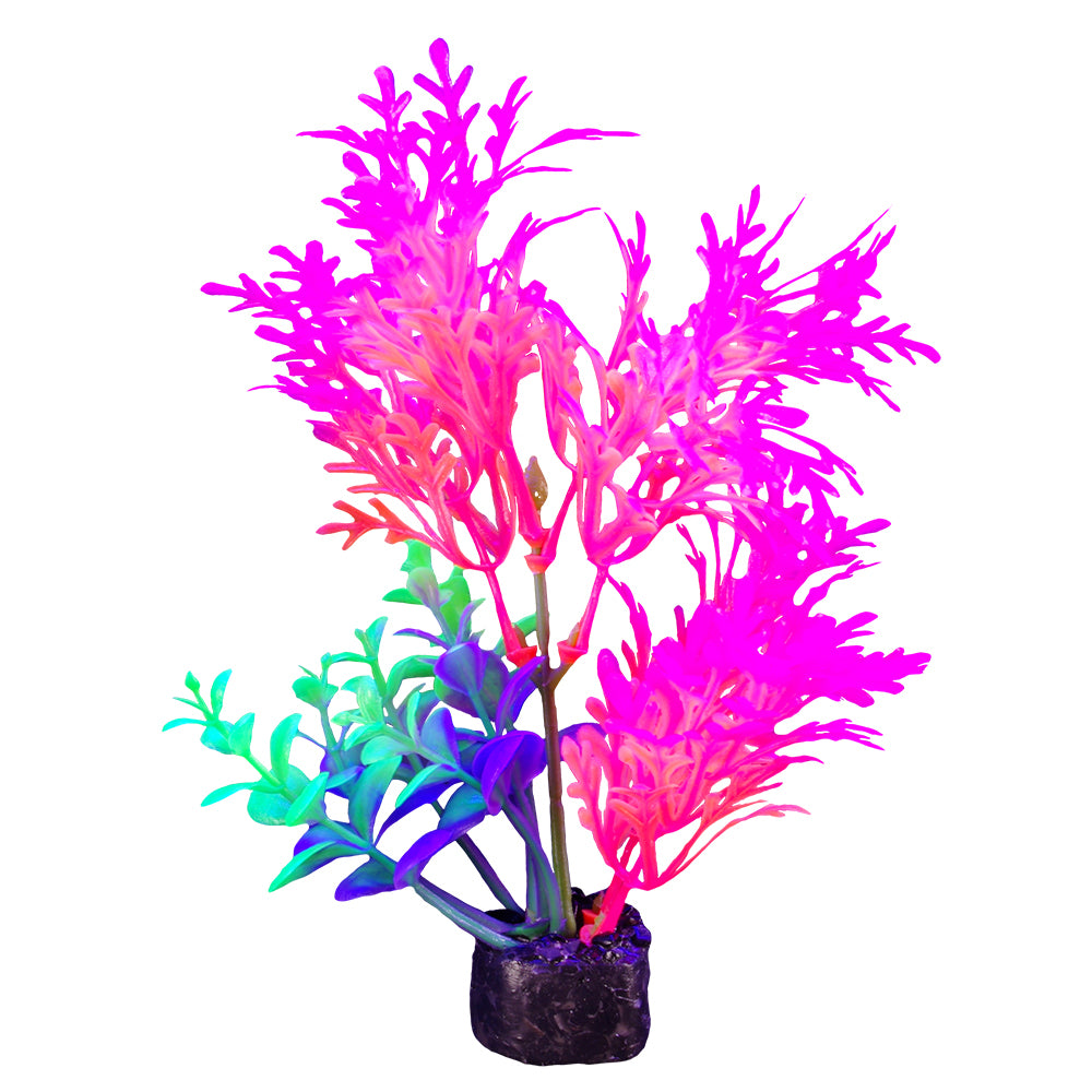 MARINA iGlo Plantes 5.5" PP1004 pour Aquarium