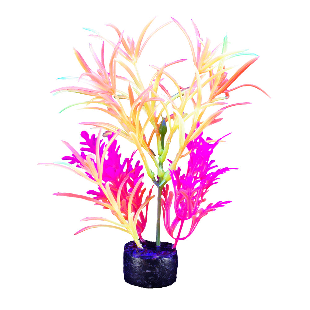 MARINA iGlo Plantes 7.5" PP1013 pour Aquarium