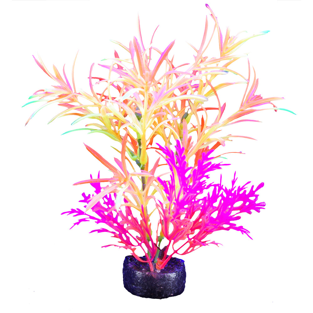 MARINA iGlo Plantes 5.5" PP1014 pour Aquarium