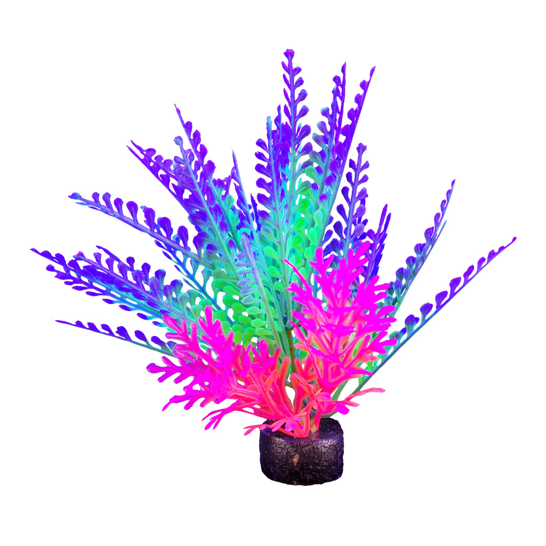 MARINA iGlo Plantes 5.5" PP1018 pour Aquarium