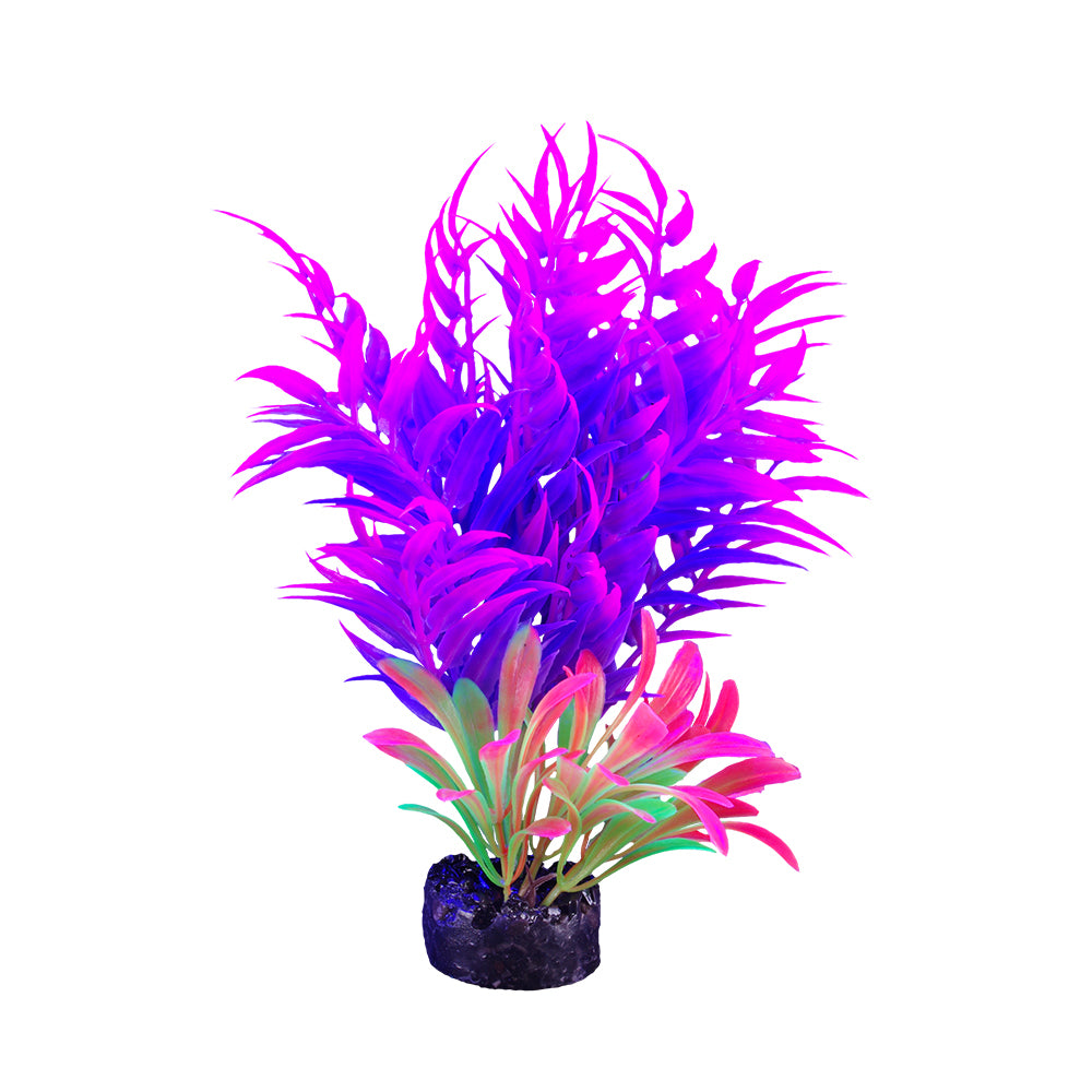 MARINA iGlo Plantes 5.5" PP1020 pour Aquarium