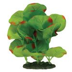Voir l’image dans la galerie, MARINA Plante Lysimaque Nummulaire Verte 5-6&quot; pour Aquarium
