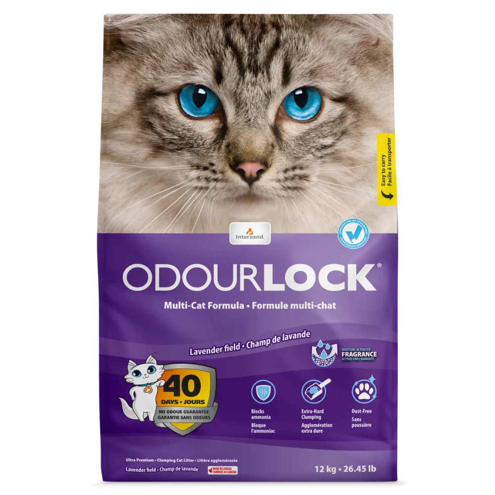 Intersand OdourLock - Parfum de Lavande - Litière Agglomérante pour Chats