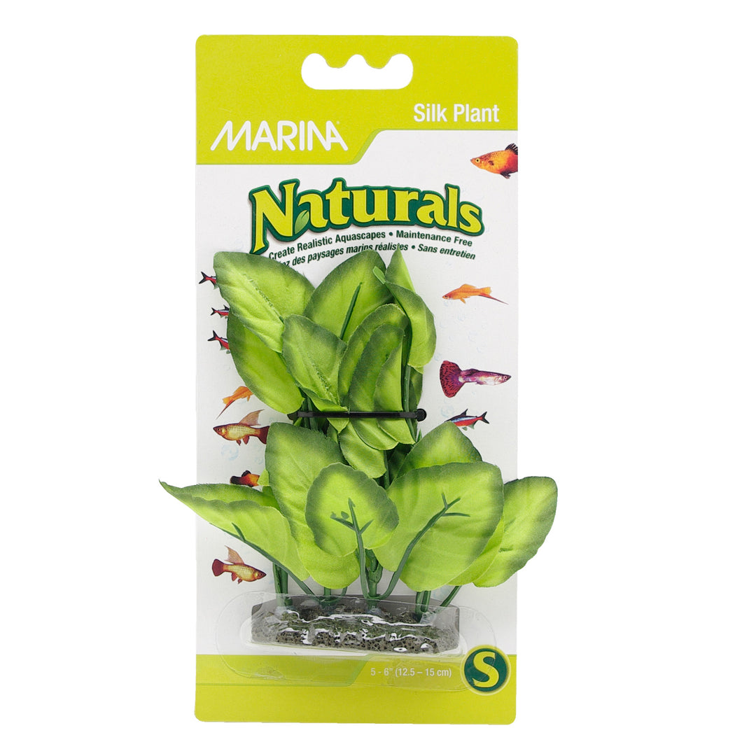 MARINA Plante Feuilles Larges Vertes 5-6" pour Aquarium