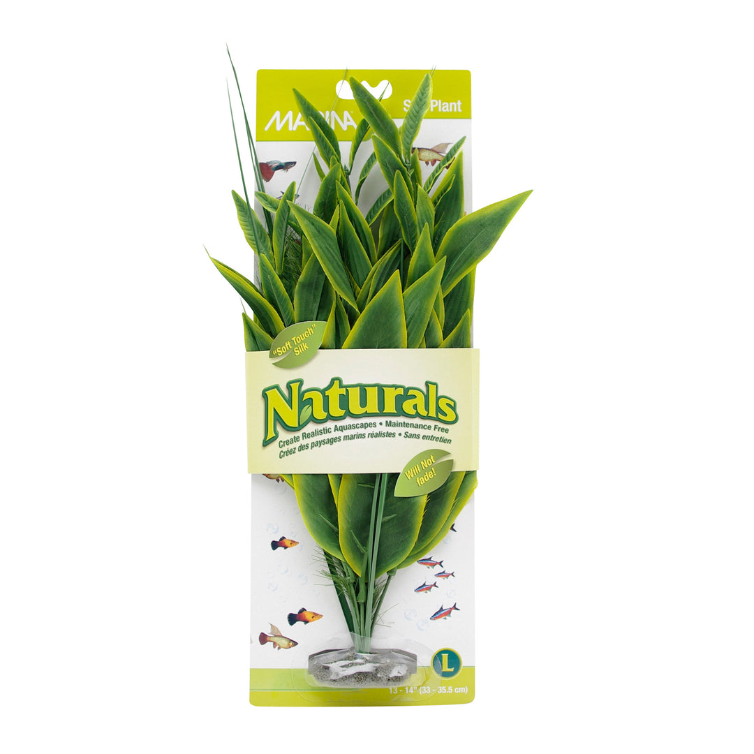 MARINA Plante Dracéna Verte 13-14" L pour Aquarium