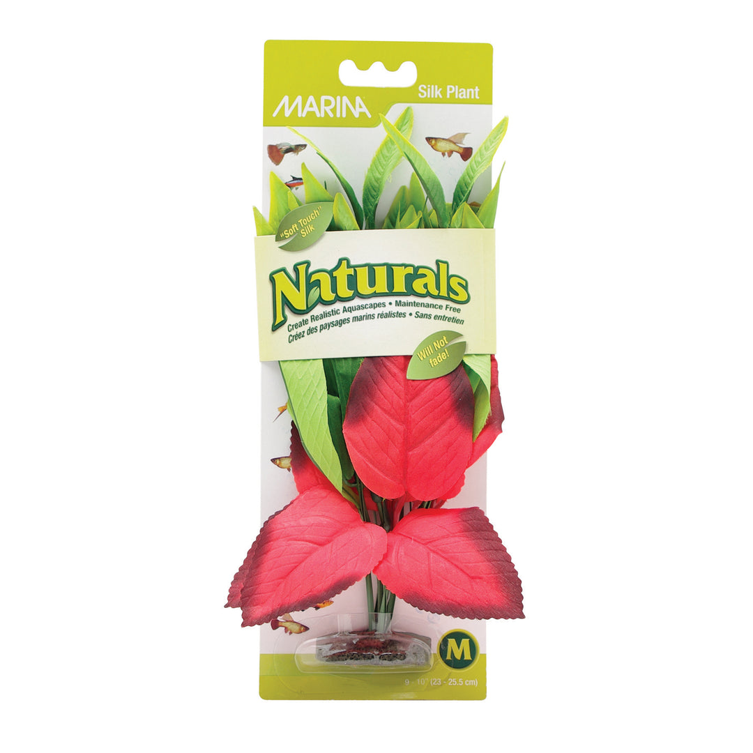 MARINA Plante Pontédérie Cordée Rouges & Vertes 9-10", M pour Aquarium