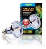 Voir l’image dans la galerie, EXO TERRA Ampoule Halogène 75W pour Reptiles
